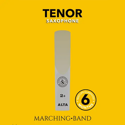 AMBIPOLY Tenor Saxophone Marching Band Reeds